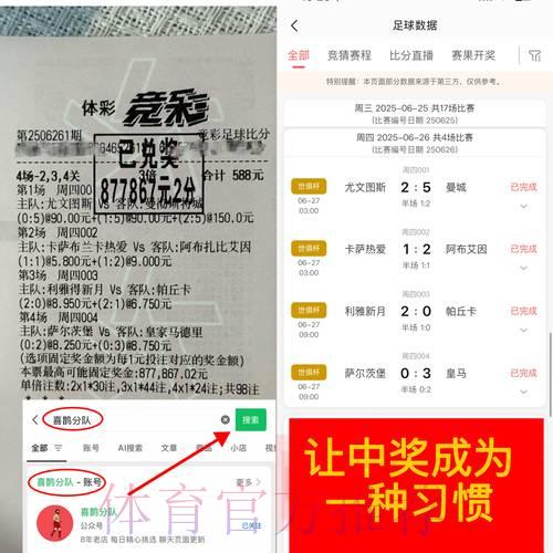世界杯网络竞猜平台核心竞争力深度解析 世界杯网络竞猜平台核心竞争力深度解析